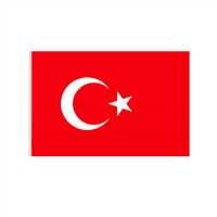 SVN KARTPOSTAL ÇIKARTMA BAYRAK 13x18 10 LU SVN-802 1