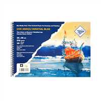 ART LİVA RESİM DEFTERİ 170 GR KARTON KAPAK SPİRALLİ 25x35 MULTİ TEKNİK 20 YP SD-103 6
