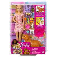 BARBİE HCK75 YENİ DOĞAN KÖPEKLER OYUN SETİ 3+ 1