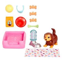 BARBİE HKD81 PET VE AKSESUARLARI OYUNU 3+ 5