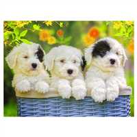 RAVENSBURGER PUZZLE XXL 127658 YAVRU KÖPEKLER PUPPİES 200 PARÇA 8+ 2