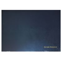 DİLMAN CERRAHİ MÜDAHALE DEFTERİ 5035 CİLTLİ 22x32 YATAY 96 YP 1