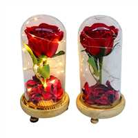 YLZ CAM FANUS JQ-74 IŞIKLI DEKORATİF EŞYA 1