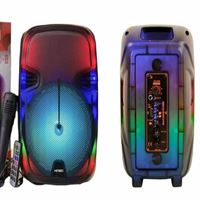 PLATOON SPEAKER PL-4300 RGB IŞIKLI BLUETOOTH+USB+SD+MİKROFONLU 1