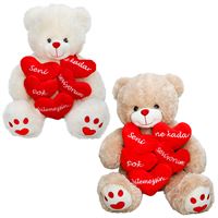 SUNMAN PELÜŞ 5124 5 KALPLİ AŞK MESAJLI OTURAN AYI 45 CM 1