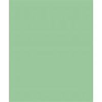 PUTİ FON KARTONU 50x70 FISTIK YEŞİL 160 GR 100 LÜ 2076 1