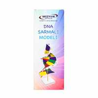 MİSYON DNA SARMALI MODELİ ST08003 1