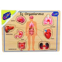 PLAY WOOD AHŞAP TUTMALI YAPBOZ ONY-166-167 İÇ ORGANLARIMIZ 18M+ 1
