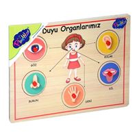 PLAY WOOD AHŞAP TUTMALI YAPBOZ ONY-166-167 İÇ ORGANLARIMIZ 18M+ 2