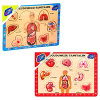 PLAY WOOD AHŞAP TUTMALI YAPBOZ ONY-287-288 VÜCUDUMUZU TANIYALIM 18M+ 1