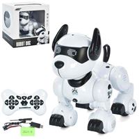 CANEM ROBOT DOG K27 AKILLI UZAKTAN KUMANDALI KÖPEK 3+ 1