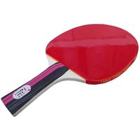 CAN SPORT RAKET BSR-807 LEGENT MASA TENİSİ TEKLİ 1