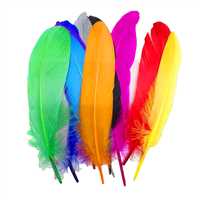 KİDDY KUŞ TÜYÜ 12 Lİ 01163 1