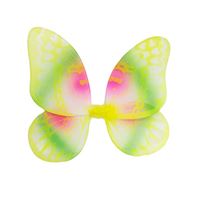 CC CCY924 KELEBEK KANADI RENKLİ 1