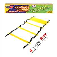 PLAY TOYS ANTRENMAN MERDİVENİ 1260 10 BAR 4 METRE UZUNLUK 3+ 1