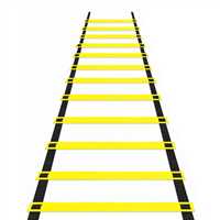 PLAY TOYS ANTRENMAN MERDİVENİ 1260 10 BAR 4 METRE UZUNLUK 3+ 2