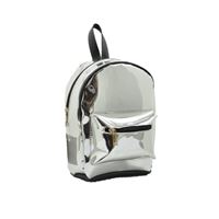 TAROS 4700 SIRT ÇANTASI METALİK GÜMÜŞ 1