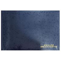 DİLMAN SPOR KULÜBÜ BORÇ ALACAK DEFTERİ 5391 CİLTLİ YATAY 22x32 96 YP 1