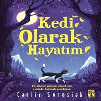 TİMAŞ KEDİ OLARAK HAYATIM 1