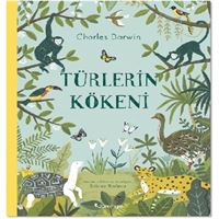 DOMİNGO TÜRLERIN KÖKENİ 1