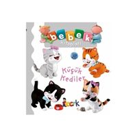 BICIRIK EĞİTİM KİTABI BEBEK KİTAPLARI KÜÇÜK KEDİLER 1