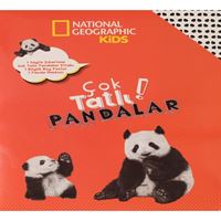 BETA AKTİVİTE KİTABI ÇOK TATLI PANDALAR 1