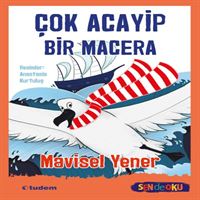 TUDEM ÇOK ACAYİP BİR MACERA 1