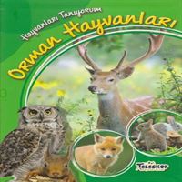 TELESKOP EĞİTİM KİTABI HAYVANLARI TANIYORUM ORMAN HAYVANLARI 1
