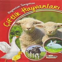 TELESKOP EĞİTİM KİTABI HAYVANLARI TANIYORUM ÇİFTLİK HAYVANLARI 1