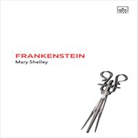 İTHAKİ ROMAN FRANKENSTEİN 1