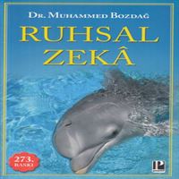 POZITIF ROMAN RUHSAL ZEKA 1