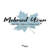 SEL ROMAN YİTİK BİR AŞKIN GÖLGESİNDE 1