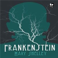 BİLGİ HİKAYE FRANKENSTEİN 1