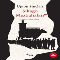 SEL ROMAN ŞİKAGO MEZBAHALARI 1