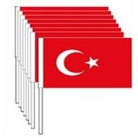 BUKET BAYRAK BEZ ÇITALI 30x45 10 LU 1