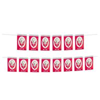 BAYRAK İPLİ ATALI ORTA 8x13 CM 1