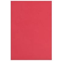 TİCON EVA 20x30 KIRMIZI 10 LU 139684 1