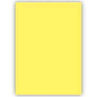 TİCON EVA 20x30 SARI 10 LU 139686 1