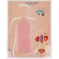 ODAK BOŞALTIM SİSTEMİ KARTON 35x50 1