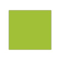 KESKİN FON KARTONU 50x70 FISTIK YEŞİL 160 GR 100 LÜ 202114-99 1