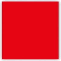KESKİN FON KARTONU 50x70 KIRMIZI 160 GR 100 LÜ 202101-99 1