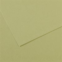 CANSON FON KARTONU 50X65 L.GREEN 160 GR 25 Lİ 164-480 1