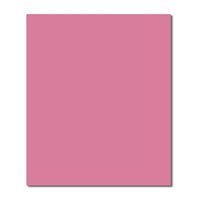 ALEX FON KARTONU 50x70 PEMBE 160 GR 100 LÜ 012.10 1