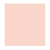 ALEX FON KARTONU 50x70 SOMON 160 GR 100 LÜ 012-05 1