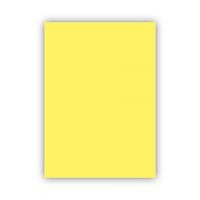 KESKİN FON KARTONU 50x70 SARI 160 GR 100 LÜ 202107-99 1