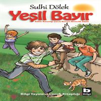 BİLGİ HİKAYE YEŞİL BAYIR 1