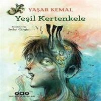 YAPI KREDİ YEŞİL KERTENKELE 1