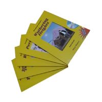 BEŞİR HİKAYE İNGİLİZCE LEVEL-6 1