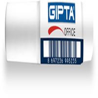 GIPTA JAPON YAPIŞTIRICI F1840 SÜPER GLUE 1,5 GR. 100 LÜ 1
