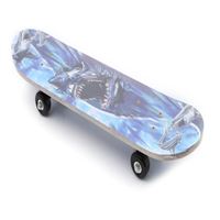 CAN SPORT KAYKAY BÜYÜK BOY 3108-1 1